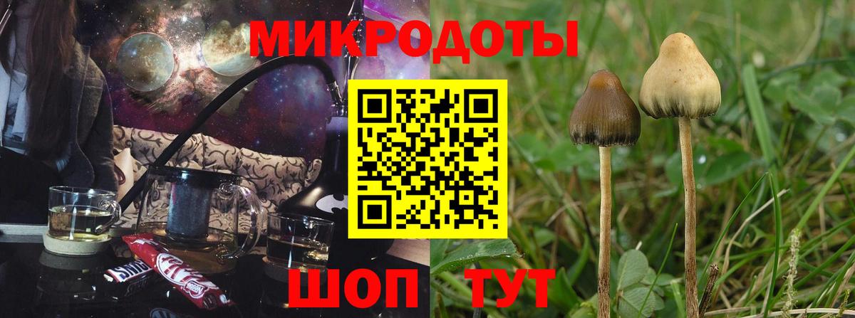 Елец  Псилоцибиновые грибы MAGIC MUSHROOMS  что такое наркотик  Вход с VPN 